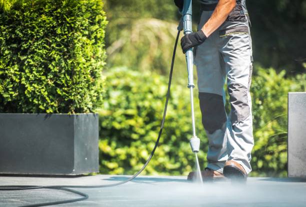 Best Rust Removal  in West Springfield, VA