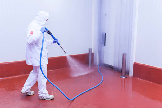 Best Pool Deck Cleaning  in West Springfield, VA